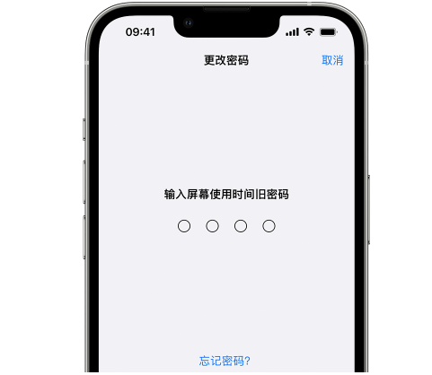 大丰iPhone屏幕维修分享iPhone屏幕使用时间密码忘记了怎么办 