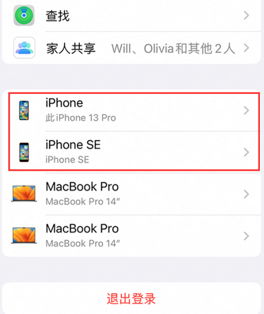 大丰苹大丰果维修网点分享iPhone如何查询序列号