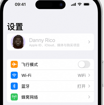 大丰appleID维修服务iPhone设置中Apple ID显示为灰色无法使用