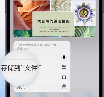 大丰apple维修中心分享iPhone文件应用中存储和找到下载文件