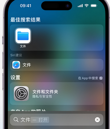 大丰apple维修中心分享iPhone文件应用中存储和找到下载文件