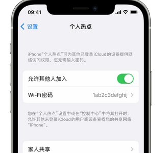 大丰apple服务站点分享iPhone上个人热点丢失了怎么办