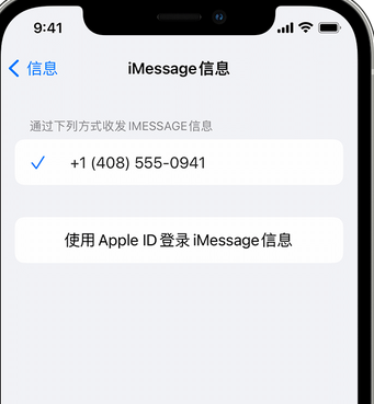 大丰apple维修iPhone上无法正常发送iMessage信息 