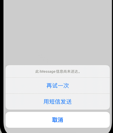 大丰apple维修iPhone上无法正常发送iMessage信息