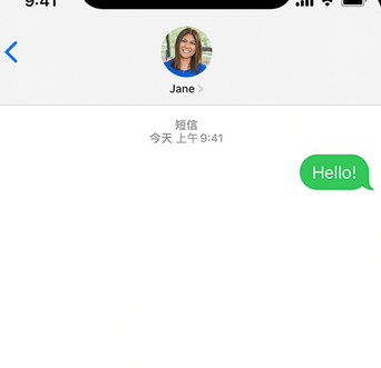 大丰apple维修iPhone上无法正常发送iMessage信息