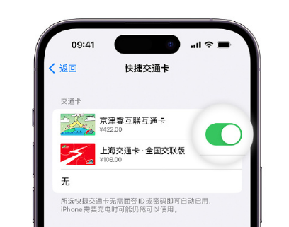 大丰apple维修点分享iPhone上更换Apple Pay快捷交通卡手绘卡面 