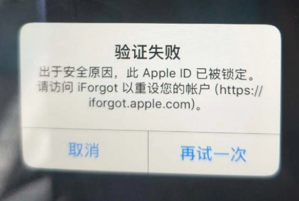 大丰iPhone维修分享iPhone上正常登录或使用AppleID怎么办 