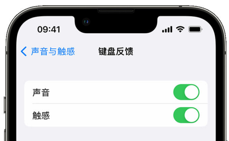 大丰苹果手机维修分享iPhone 14触感键盘使用方法 