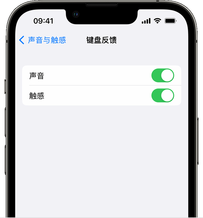 大丰苹果14维修店分享如何在 iPhone 14 机型中使用触感键盘 