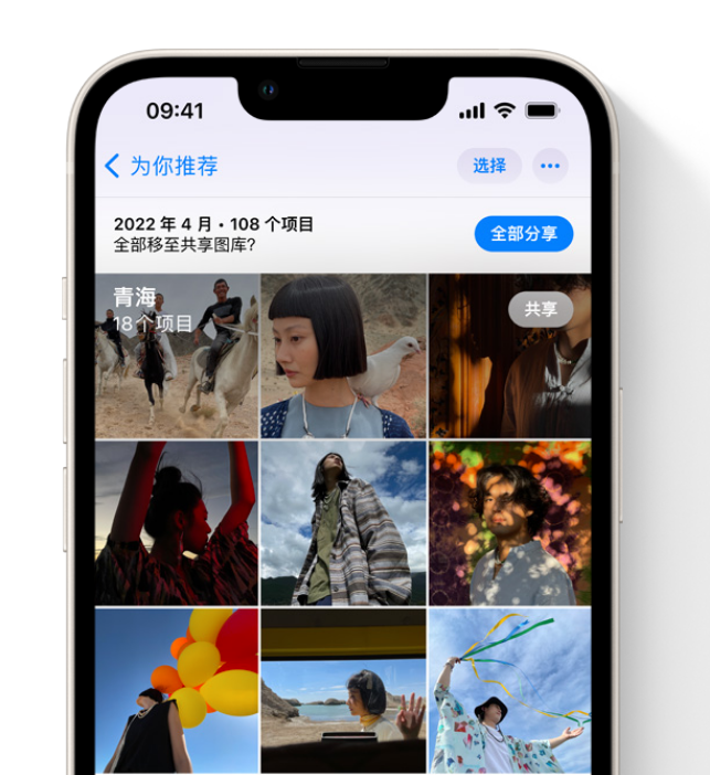 大丰苹果维修网点分享在 iPhone 上使用共享图库 