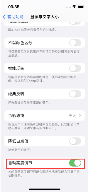 大丰苹果15维修店分享iPhone 15 Pro系列屏幕亮度 