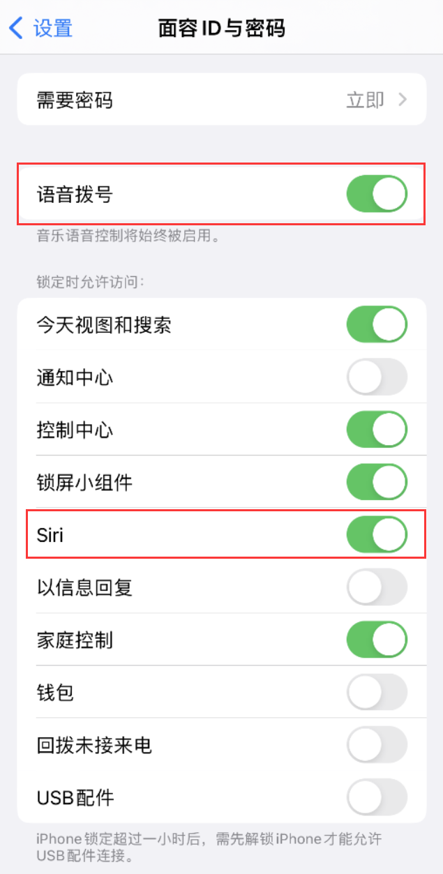 大丰苹果维修网点分享不解锁 iPhone 的情况下通过 Siri 拨打电话的方法 