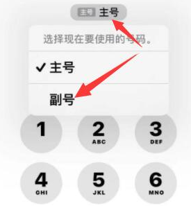 大丰苹果14维修店分享iPhone 14 Pro Max使用副卡打电话的方法 