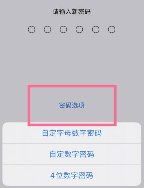 大丰苹果14维修分享iPhone 14plus设置密码的方法 