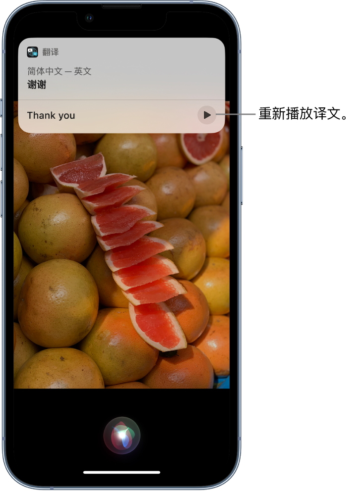 大丰苹果14维修分享 iPhone 14 机型中使用 Siri：了解 Siri 能帮你做什么 