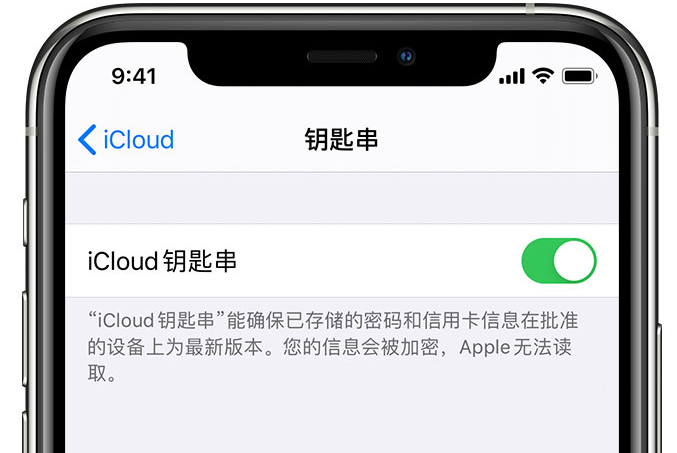 大丰苹果手机维修分享在 iPhone 上开启 iCloud 钥匙串之后会储存哪些信息 