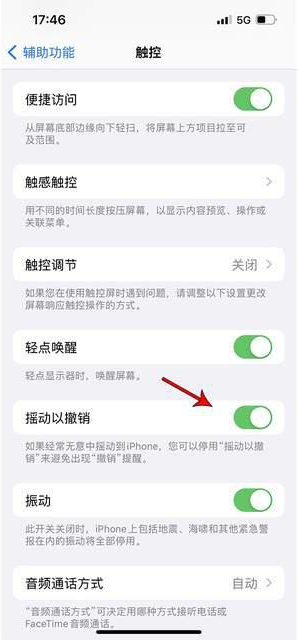 大丰苹果手机维修分享iPhone手机如何设置摇一摇删除文字 