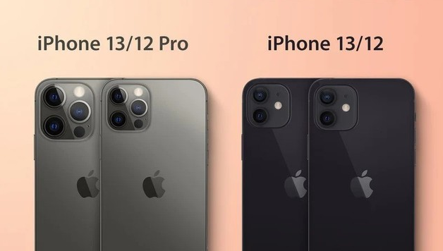 大丰苹果手机维修分享iPhone 13 摄像头长什么样 