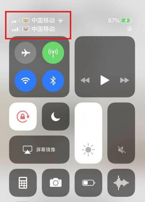 大丰苹果手机维修分享为 iPhone 12 双卡设置标签 