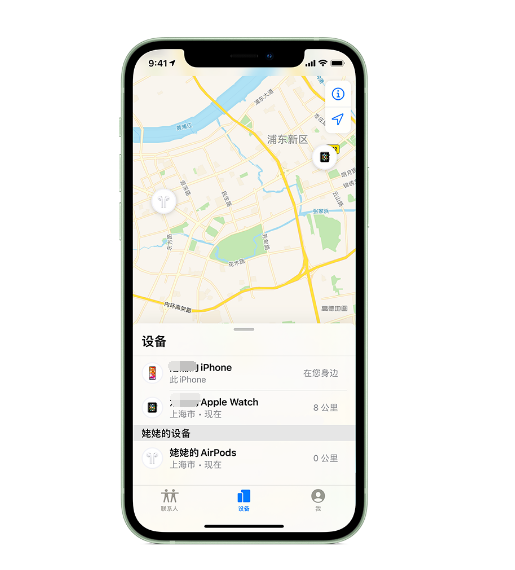 大丰苹果手机维修分享iPhone “家人共享”功能 